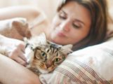 Adet öncesi sendromu ‘nun sebebi kediniz olabilir