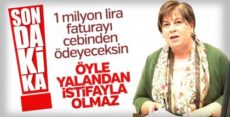 CHP’li Elif Doğan Türkmen istifa etti