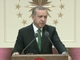 Cumhurbaşkanı Erdoğan TÜBA Ödülleri Töreni’nde