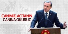 Erdoğan: Cudi’de Kandil’de yakalar vururuz