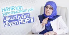 HDP’li vekil: Milliyetçi bir geçmişim var