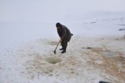 Muş’ta hayvanların su ihtiyacı buzu kırarak karşılanıyor